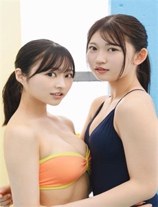 《延安颂电视剧全集》